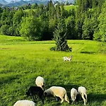 Tatrzanska Polana 5f Закопане
