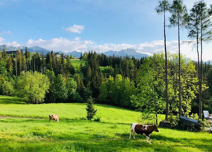 Tatrzanska Polana 5f Apartamento *