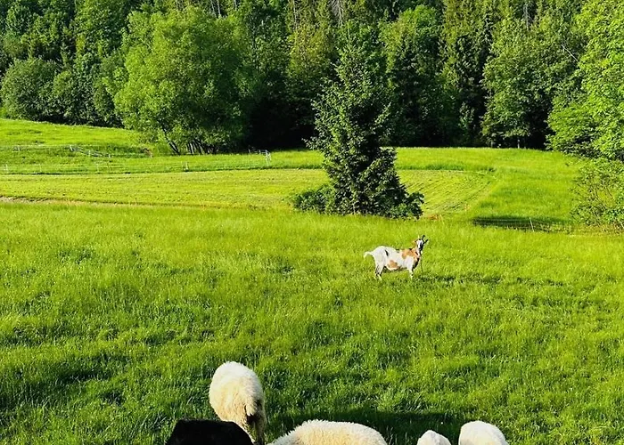 Tatrzanska Polana 5f Zakopane