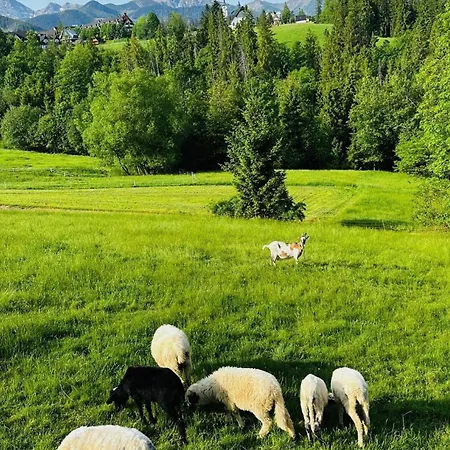 Tatrzanska Polana 5f Zakopane