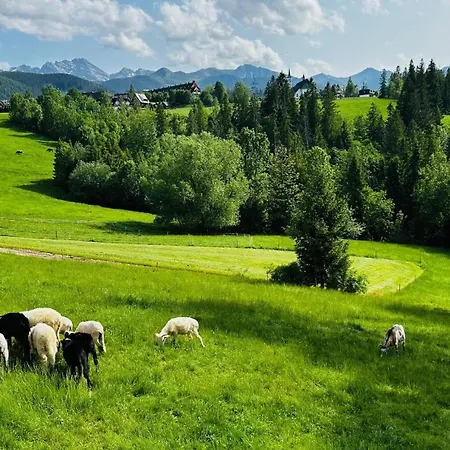 Tatrzanska Polana 5f アパート *